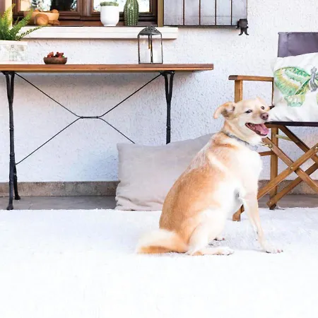 Гостевой дом Bread & Butter Альбиньясего