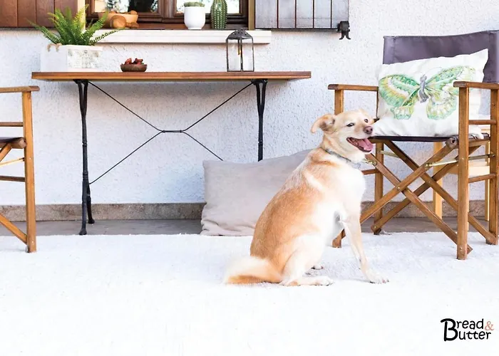 Guest house Bread & Butter Albignasego