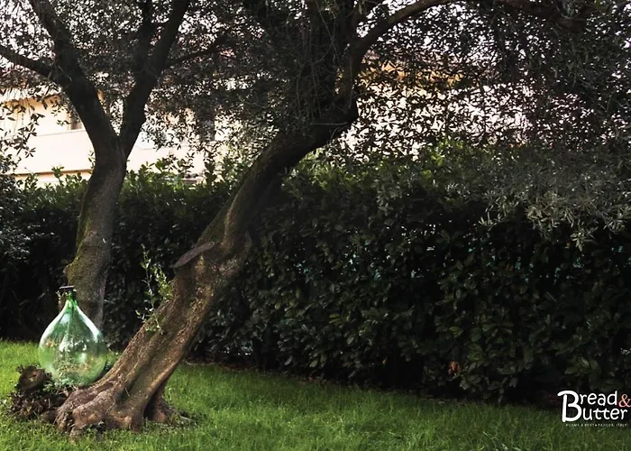 Bread & Butter Affittacamere Albignasego